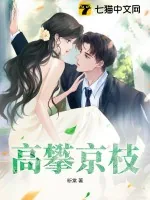 《高攀京枝》小说封面