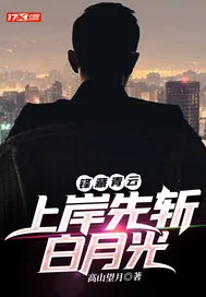 《锋藏青云：上岸先斩白月光》小说封面
