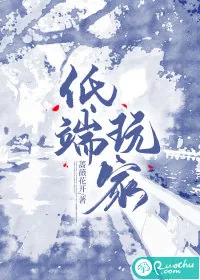 《低端玩家》小说封面