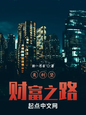 《美利坚财富之路》小说封面