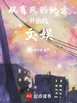 《从有风的地方开始的文娱》小说封面