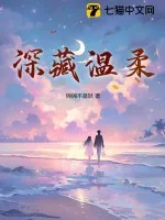 《深藏温柔》小说封面