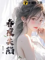 《春夜失陷》小说封面