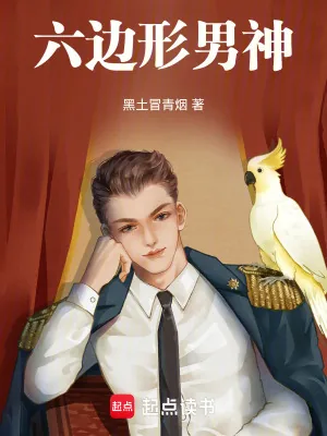 《六边形男神》小说封面