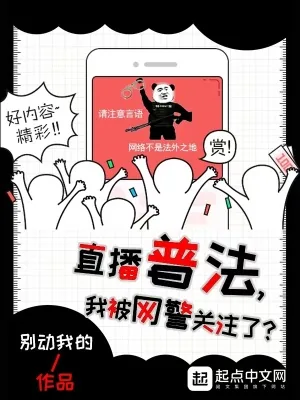 《直播普法，我被网警关注了？》小说封面