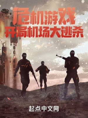 《危机处理游戏》小说封面