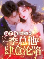 《沈老师娇娇入怀，季总他肆意沦陷》小说封面