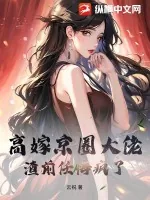 《高嫁京圈大佬，渣前任悔疯了！》小说封面