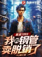 《重返1993，我的钢管卖脱销了》小说封面