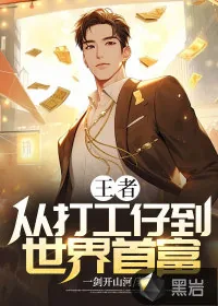 《王者：从打工仔到世界首富》小说封面