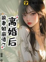 《离婚后，前妻姐崩溃了》小说封面