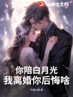 《你陪白月光，我离婚你后悔啥》小说封面