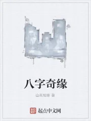 《八字奇缘》小说封面