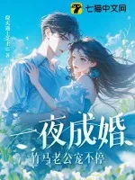 《一夜成婚,竹马老公宠不停!》小说封面