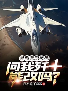 《暑假兼职被抓,问我歼十能改吗?》小说封面