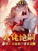 《大佬绝嗣，我怀六宝被豪门婆家宠爆》小说封面