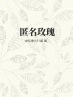 《匿名玫瑰》小说封面