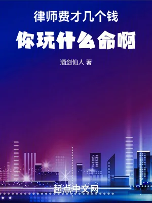 《律师费才几个钱，你玩什么命啊！》小说封面