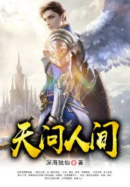 《天间录》小说封面