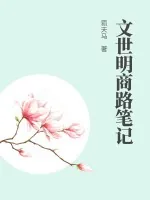 《文世明商路笔记》小说封面