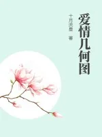 《爱情几何图》小说封面