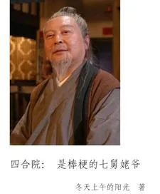 《四合院：我是棒梗的七舅姥爷》小说封面