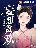 《妄想贪欢》小说封面