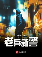 《老兵新警》小说封面