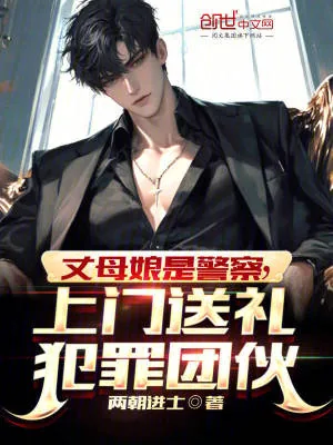 《丈母娘是警察，上门送礼犯罪团伙》小说封面