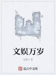 《文娱万岁》小说封面