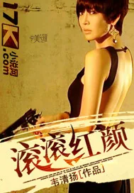 《滚滚红颜》小说封面