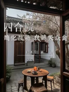《四合院：简化技能，我薅哭众禽》小说封面