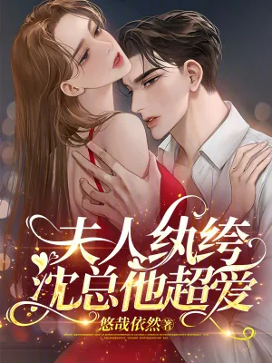 《夫人纨绔，沈总他超爱》小说封面