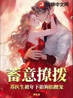 《蓄意撩拨，苏医生被年下狼狗掐腰宠》小说封面