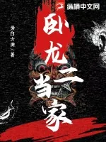 《卧龙二当家》小说封面