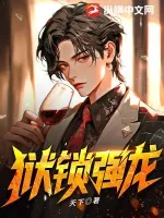 《狱锁强龙》小说封面