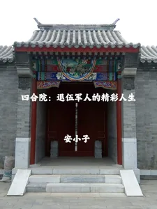 《四合院：退伍军人的精彩人生》小说封面