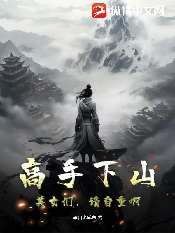 《高手下山：美女们，请自重啊！》小说封面