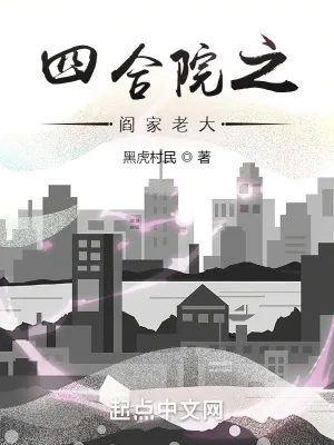《四合院之阎家老大》小说封面