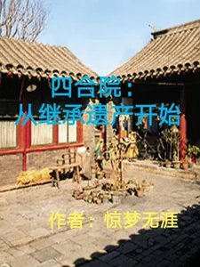 《四合院：从继承遗产开始》小说封面