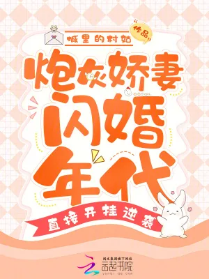 《炮灰娇妻闪婚年代，直接开挂逆袭》小说封面