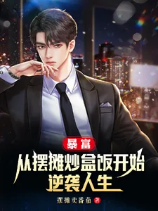 《暴富:从摆摊炒盒饭开始逆袭人生》小说封面