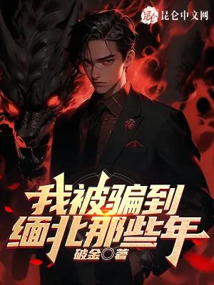 《我被骗到缅北的那些年》小说封面
