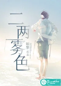 《二两雾色》小说封面