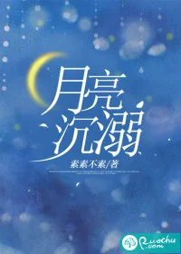 《月亮沉溺》小说封面