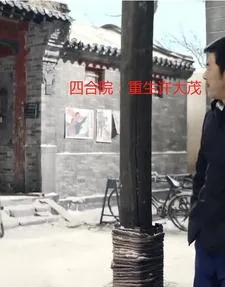 《四合院：重生许大茂》小说封面