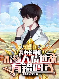 《我市长司机，不懂人情世故有错吗》小说封面