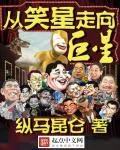 《从笑星走向巨星》小说封面