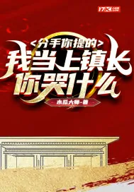 《分手你提的，我当上镇长你哭什么》小说封面