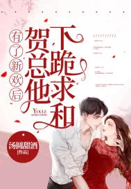 《有了新欢后，贺总他下跪求和》小说封面